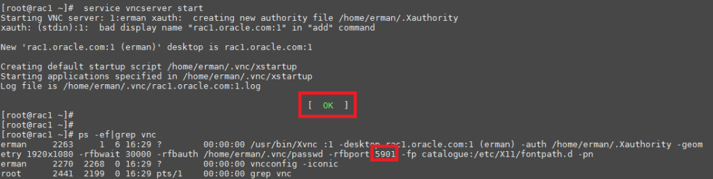 Vnc server startup script winscp invalid directory